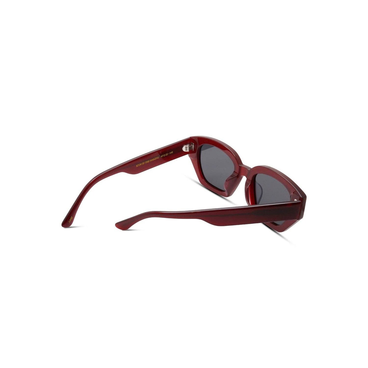 Icon in the Making - Burgundy/Polarized